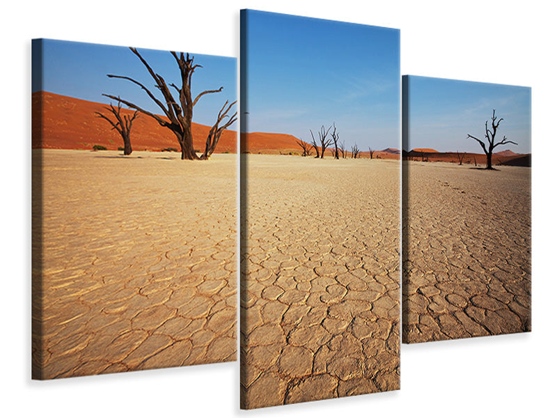 modern-3-piece-canvas-print-desert