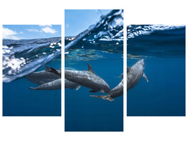 modern-3-piece-canvas-print-dolphins