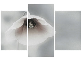 modern-3-piece-canvas-print-ephemeral-beauty-ii