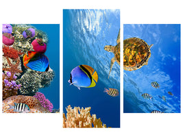 modern-3-piece-canvas-print-fish-in-the-water