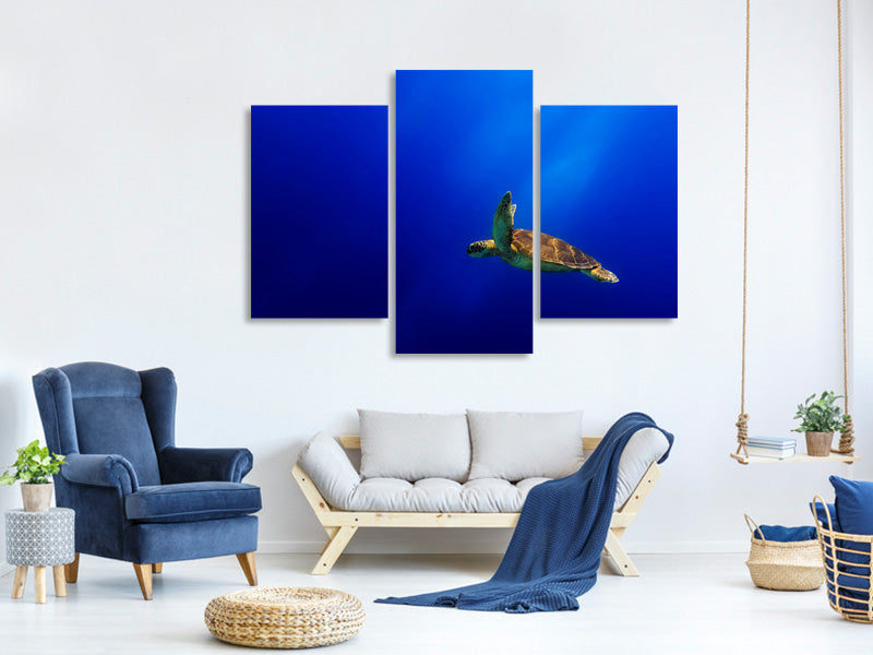 modern-3-piece-canvas-print-flying