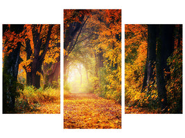 modern-3-piece-canvas-print-forest-walk