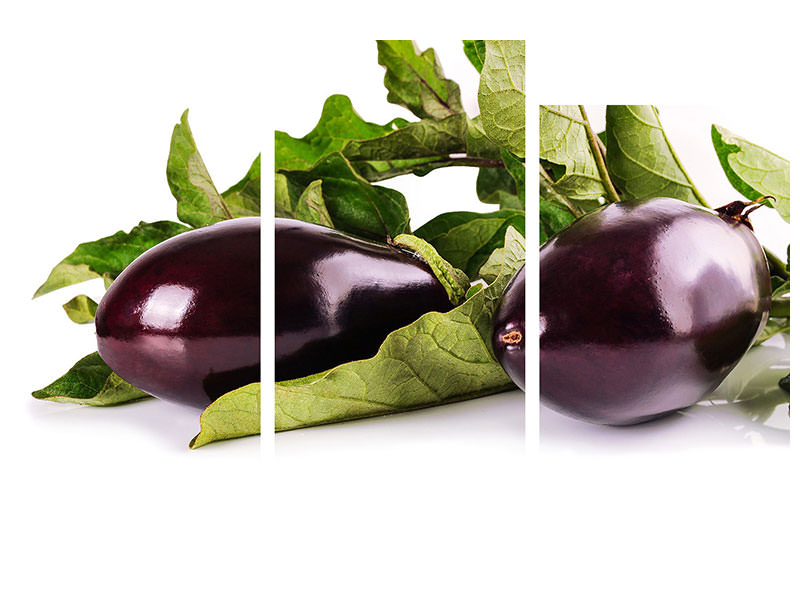 modern-3-piece-canvas-print-fresh-eggplants