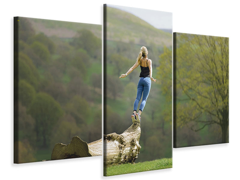 modern-3-piece-canvas-print-genuine-nature-experience