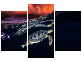 modern-3-piece-canvas-print-green-turtle-and-sunset-sea-turtle