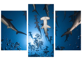 modern-3-piece-canvas-print-hammerhead-shark