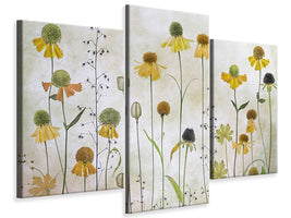 modern-3-piece-canvas-print-helenium