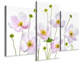 modern-3-piece-canvas-print-japanese-anemones