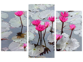 modern-3-piece-canvas-print-jump-in-the-lily-pond