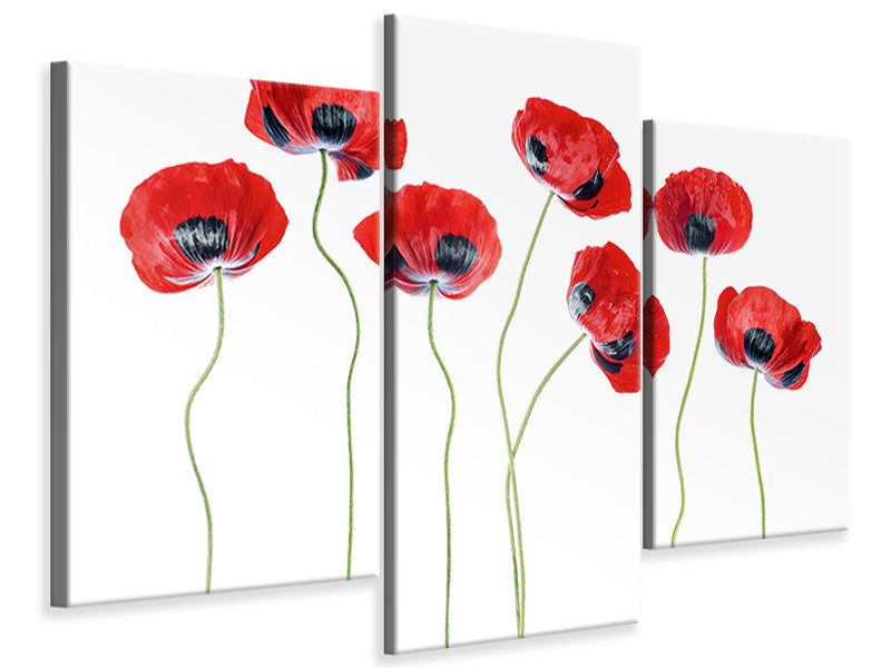 modern-3-piece-canvas-print-ladybird-poppies