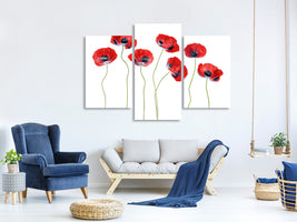 modern-3-piece-canvas-print-ladybird-poppies