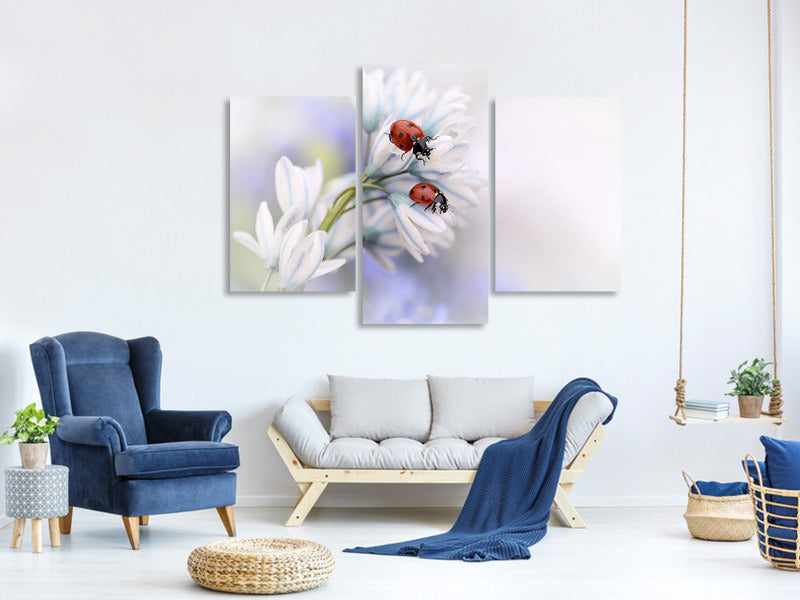 modern-3-piece-canvas-print-ladybirds
