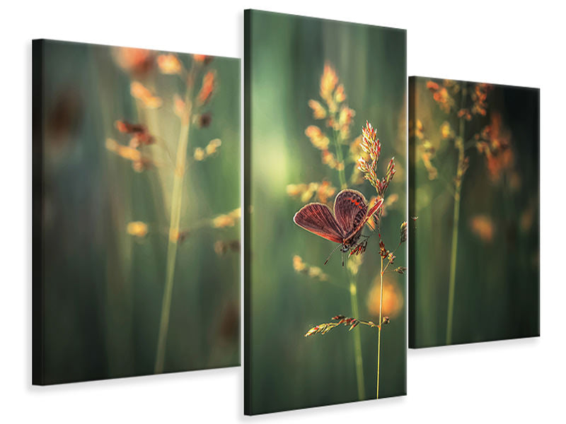 modern-3-piece-canvas-print-last-light