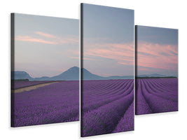 modern-3-piece-canvas-print-lavender-field