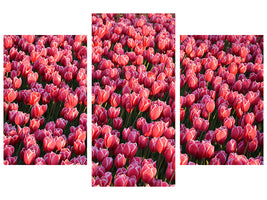 modern-3-piece-canvas-print-lush-tulip-field