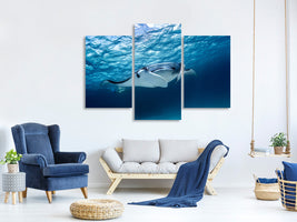 modern-3-piece-canvas-print-manta-ray