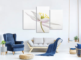 modern-3-piece-canvas-print-nemorosa-iii