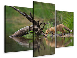 modern-3-piece-canvas-print-red-fox-ii