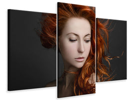 modern-3-piece-canvas-print-red-hair