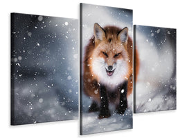 modern-3-piece-canvas-print-renart