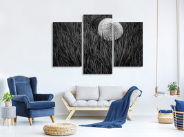 modern-3-piece-canvas-print-rice-fields-in-bw