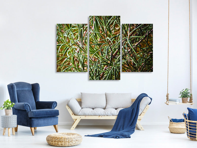 modern-3-piece-canvas-print-rosemary-xxl