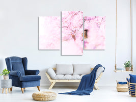 modern-3-piece-canvas-print-sakura