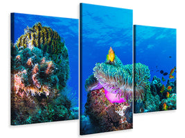 modern-3-piece-canvas-print-sea-life