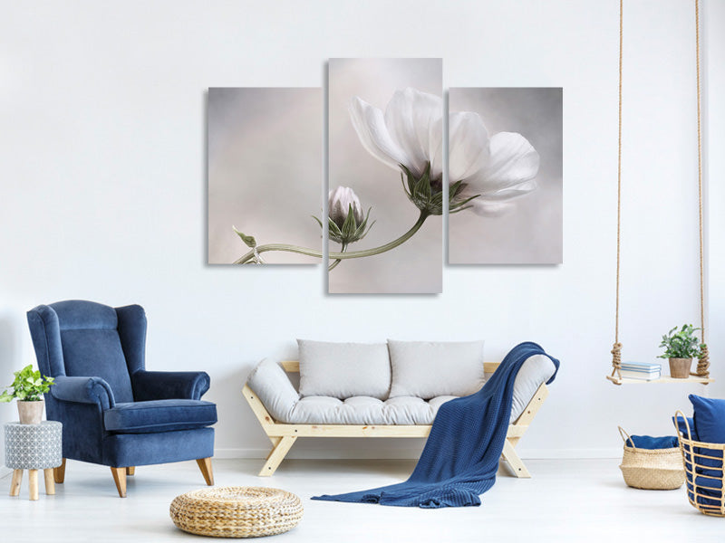 modern-3-piece-canvas-print-simply-cosmos