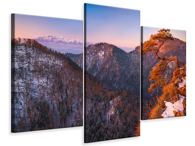 modern-3-piece-canvas-print-sokolica