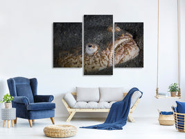 modern-3-piece-canvas-print-stargazer