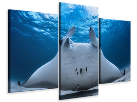 modern-3-piece-canvas-print-take-off-manta-airline