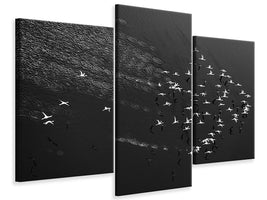 modern-3-piece-canvas-print-take-off