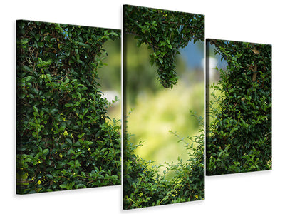 modern-3-piece-canvas-print-the-heart-in-the-hedge