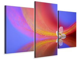 modern-3-piece-canvas-print-the-whisper