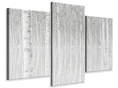 modern-3-piece-canvas-print-trees