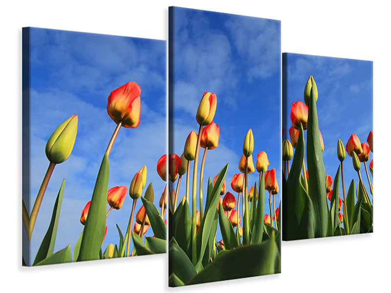 modern-3-piece-canvas-print-tulips-tower-to-the-sky