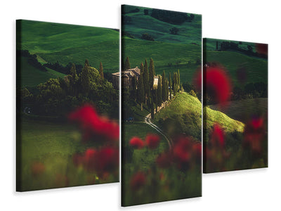 modern-3-piece-canvas-print-tuscany-spring-blossoms