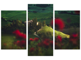modern-3-piece-canvas-print-tuscany-spring-blossoms