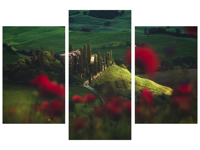 modern-3-piece-canvas-print-tuscany-spring-blossoms