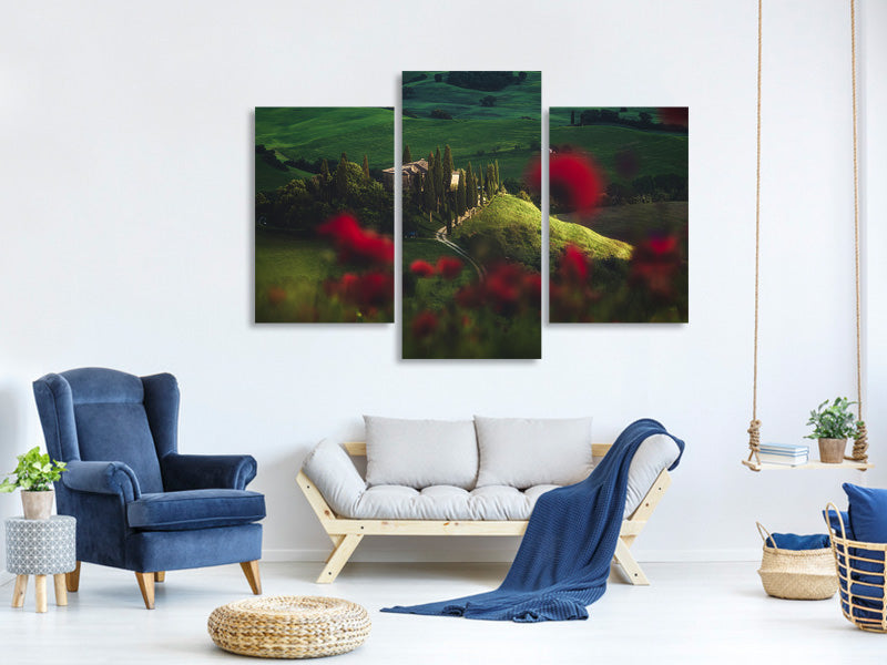 modern-3-piece-canvas-print-tuscany-spring-blossoms