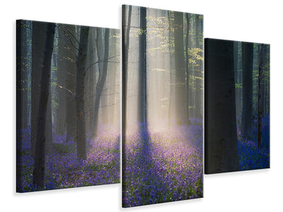 modern-3-piece-canvas-print-velvet-light