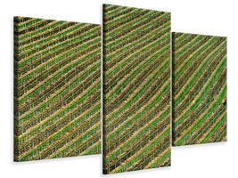 modern-3-piece-canvas-print-vineyard