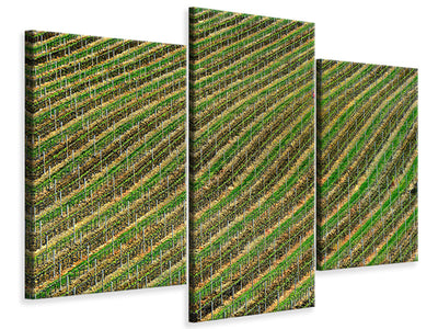 modern-3-piece-canvas-print-vineyard