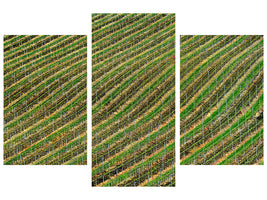 modern-3-piece-canvas-print-vineyard
