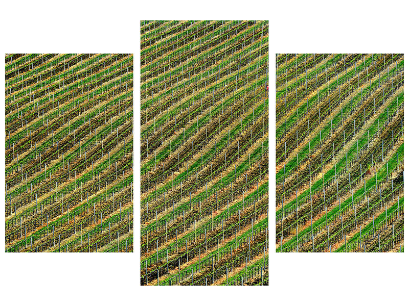 modern-3-piece-canvas-print-vineyard