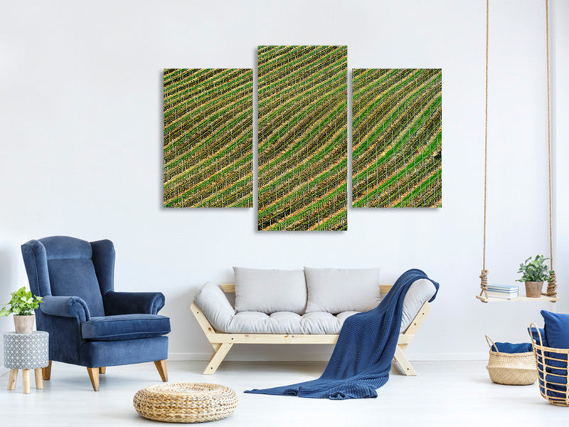 modern-3-piece-canvas-print-vineyard