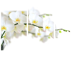 modern-3-piece-canvas-print-white-orchids