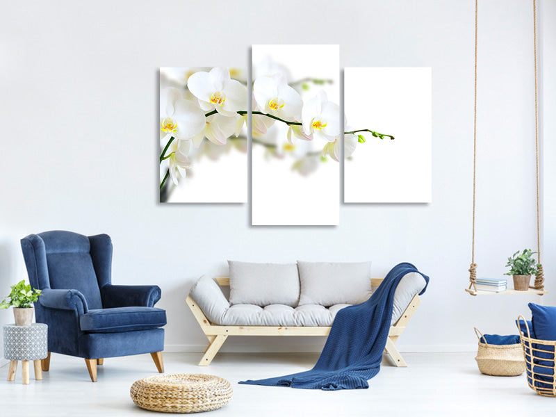 modern-3-piece-canvas-print-white-orchids