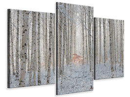 modern-3-piece-canvas-print-white